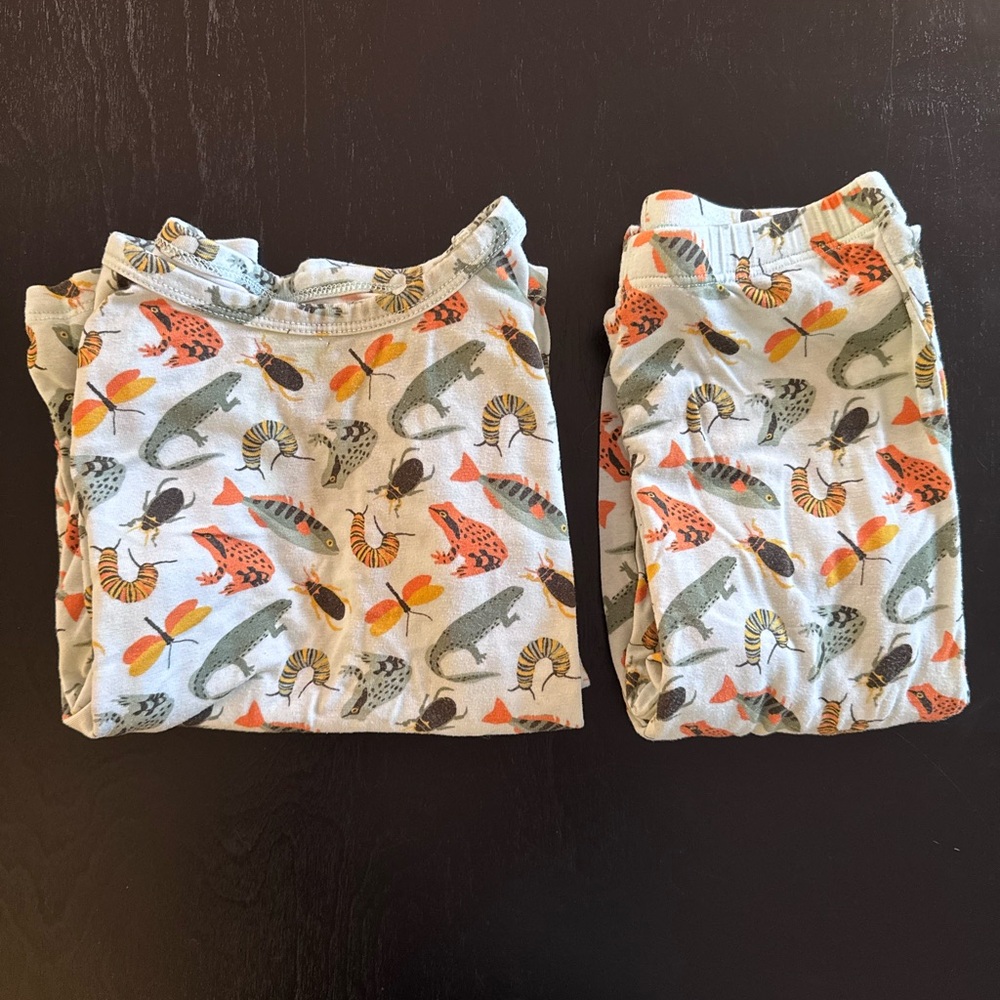 Charlie’s Project/Play Toddler Bugs Two Piece Pajama Set